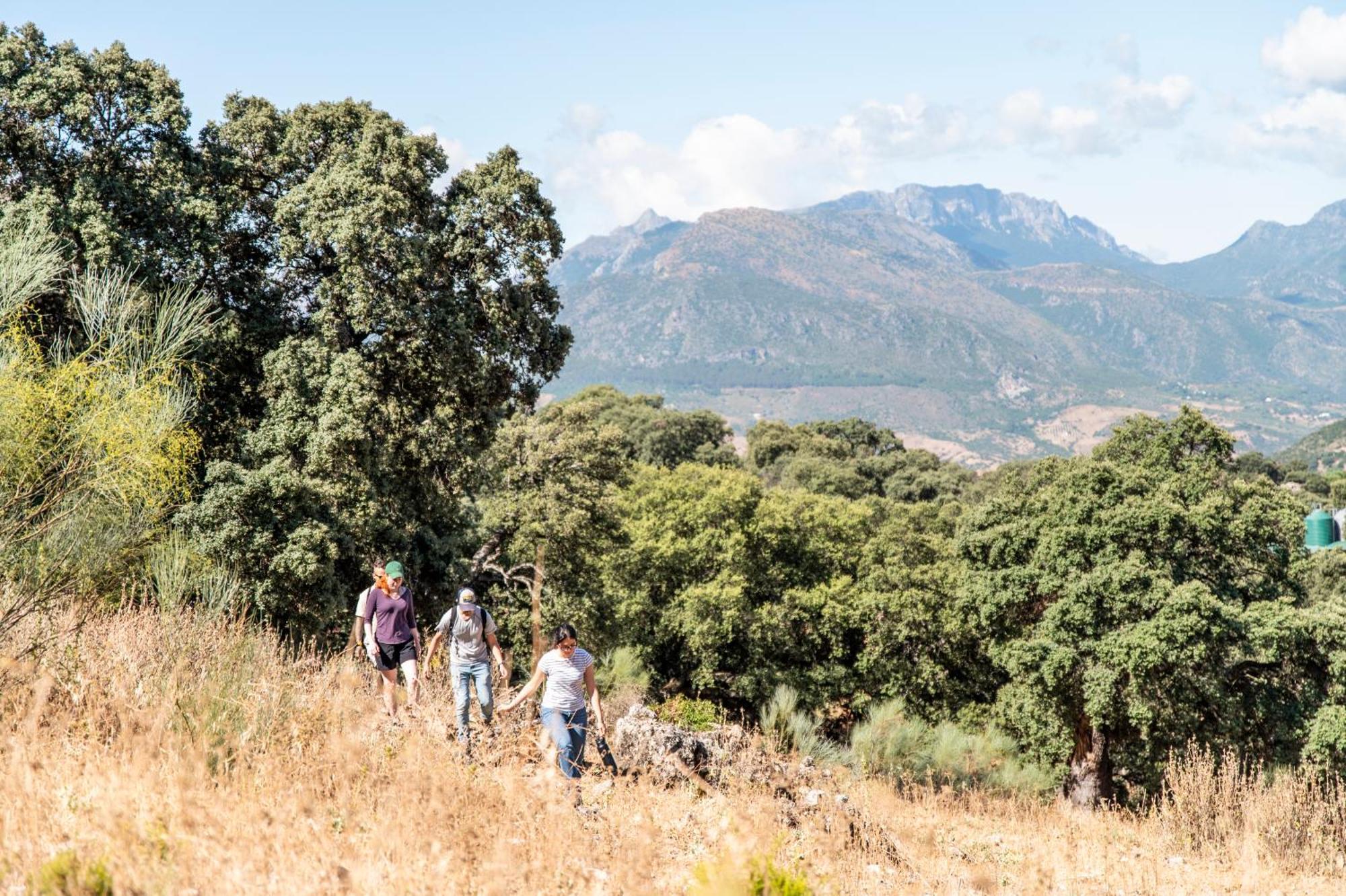 La Donaira Pensionat Montecorto Exteriör bild