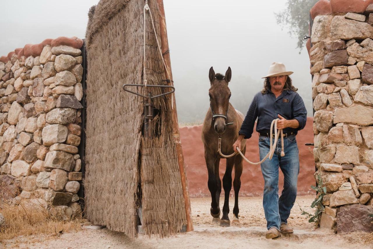 La Donaira Pensionat Montecorto Exteriör bild