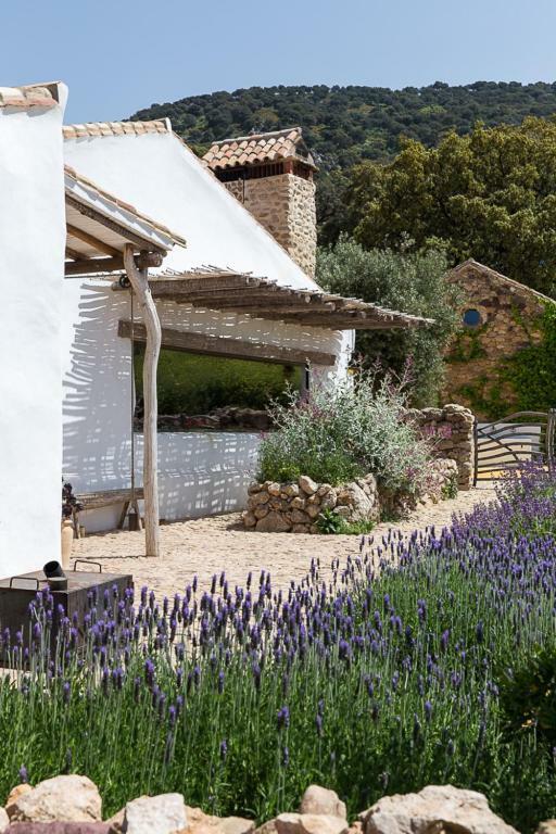 La Donaira Pensionat Montecorto Exteriör bild